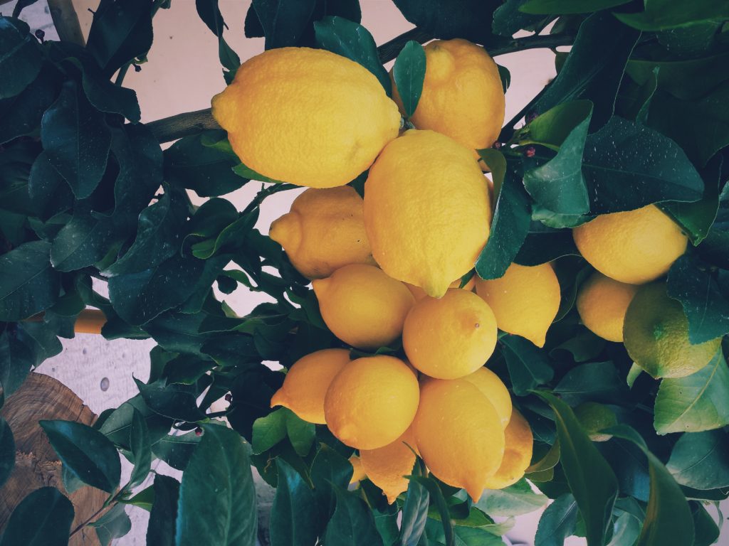 Gelbe Zitronen an einem Baum stehen sinnbildlich für unserer Düfte für den Sommer.