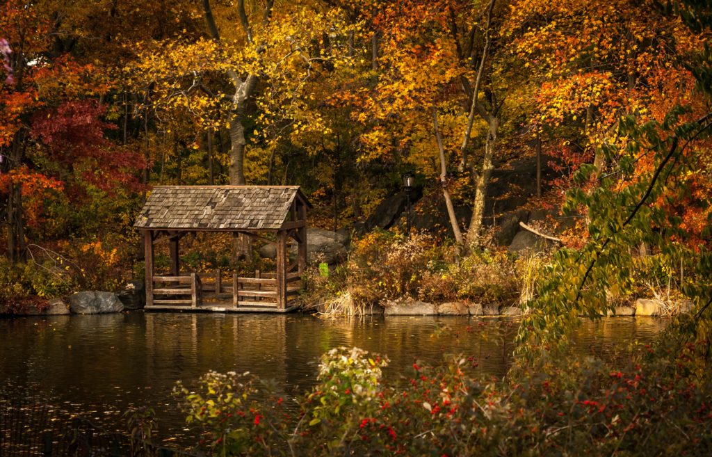 Herbstlich verfärbter Wald. Leuchtenden Orange- und Gelbtöne der Blätter. Im Vordergrund ein kleiner See in dem sich die Waldszenerie spiegelt. Im rechten Bildrand befindet sich eine kleine Bootshütte.